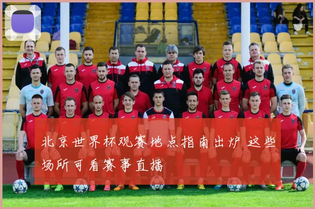北京世界杯观赛地点指南出炉 这些场所可看赛事直播